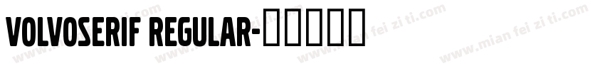 VolvoSerif Regular字体转换